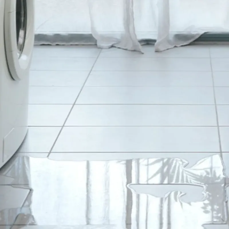 Appliance Leak Cleanup in Plainfield, IN