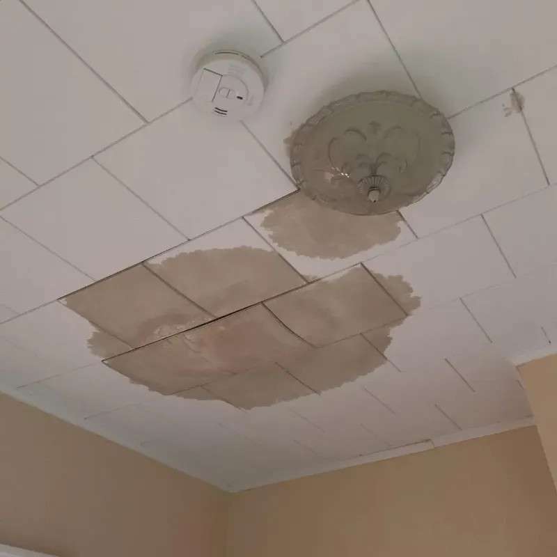Ceiling Water Damage Repair in Plainfield, IN