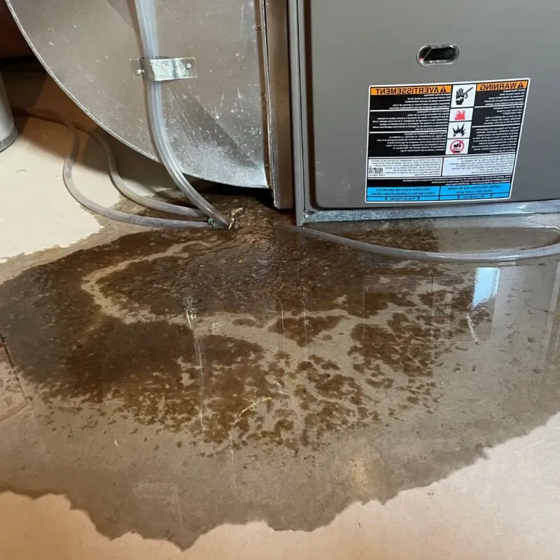 Pipe Burst and Leak Restoration in Plainfield, IN